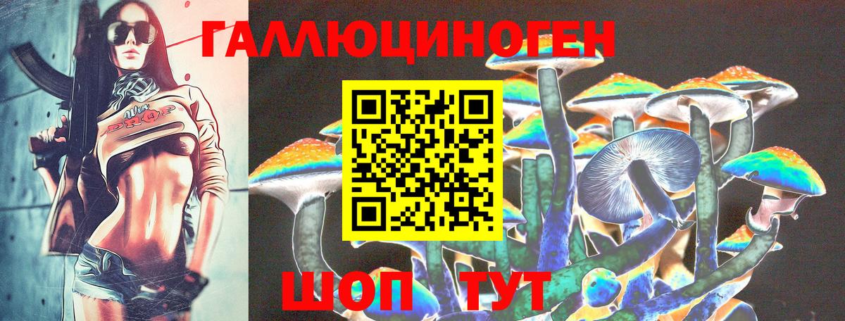 продажа наркотиков  Псилоцибиновые грибы GOLDEN TEACHER  Вход с VPN  Мурино 